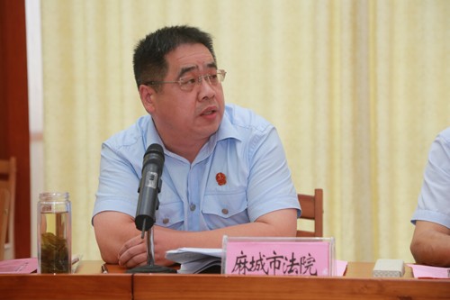 麻城市党组成员、刑庭庭长王勤.JPG
